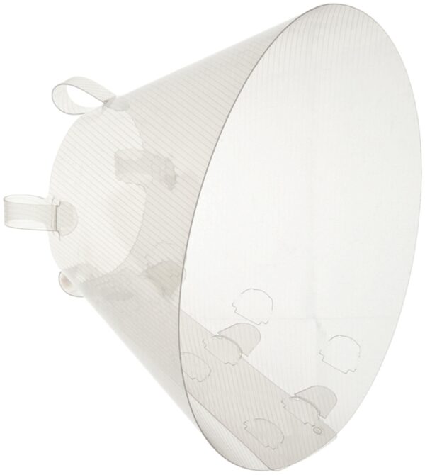 Collar isabelino transparente click 15cm (1u)