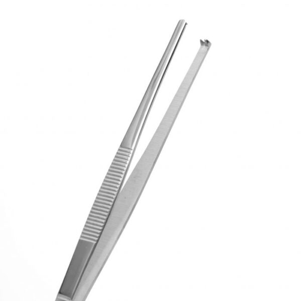 Pinza disección standar 16 cm c/d